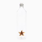 Starfish - Karaff