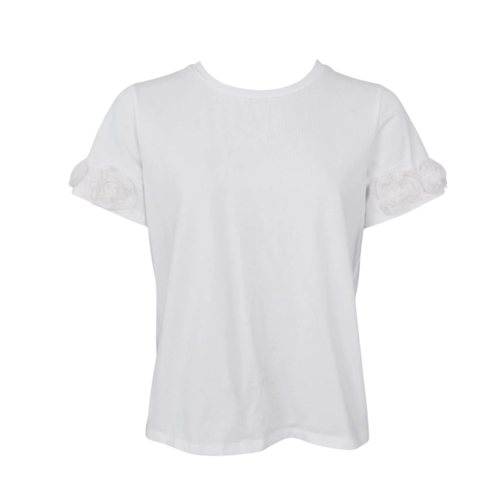 Namnlosdesign_1_kopia_2746cea2-631b-4493-a1b1-df4956d9427a.png