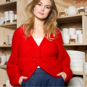 Black Colour - Bjoerk Crossjumper Red